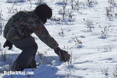 big buck magazine shed images